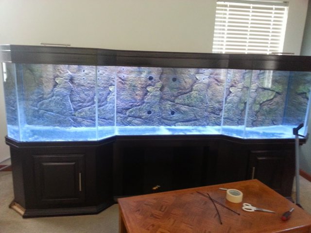 20131130_125653.jpg