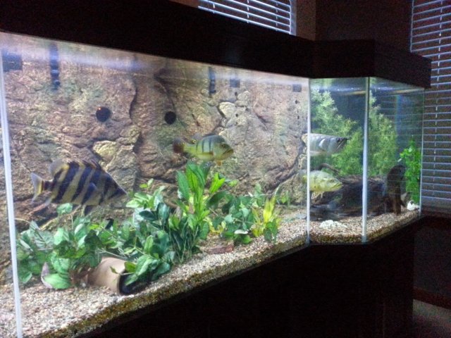 20140303_174844.jpg