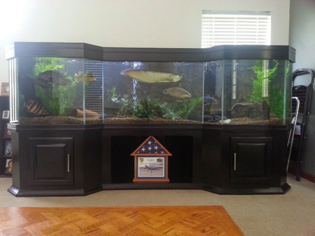 20140816_144958.jpg