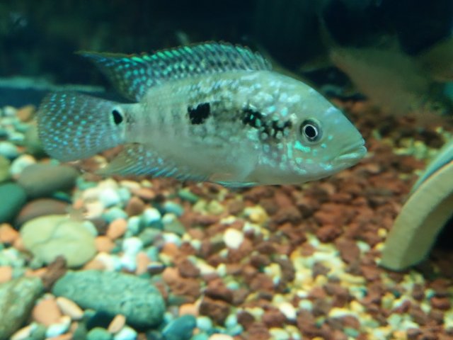 IMG20160712235705.jpg