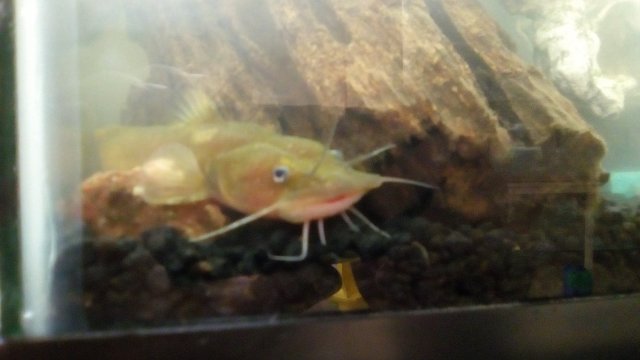 IMG_20160712_181956.jpg