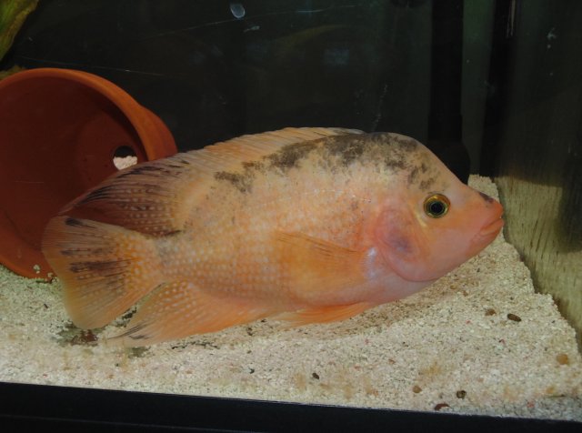 DSC00034.JPG DSC00034.JPG