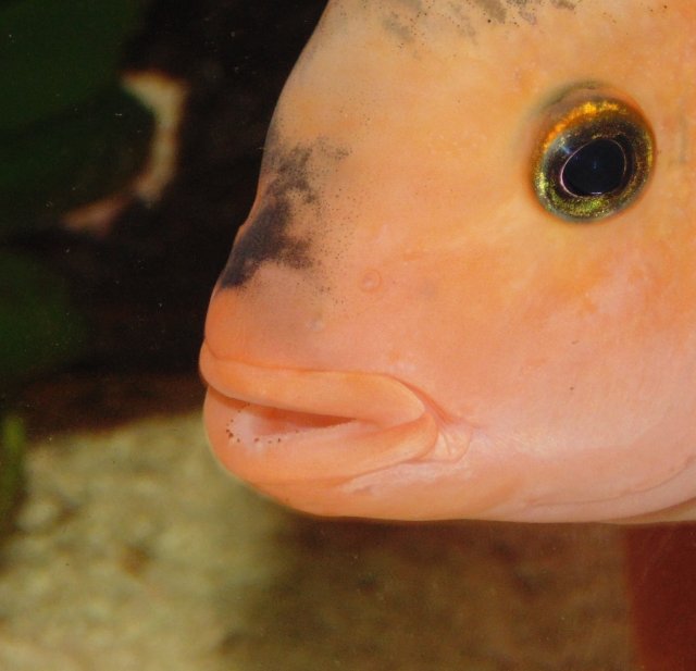 DSC00062.JPG DSC00062.JPG