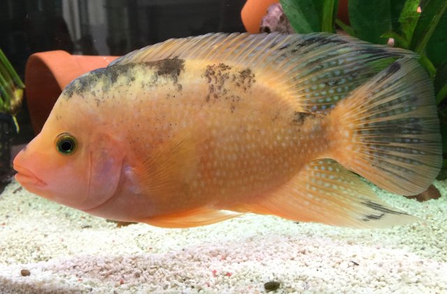 IMG_7609.JPG IMG_7609.JPG