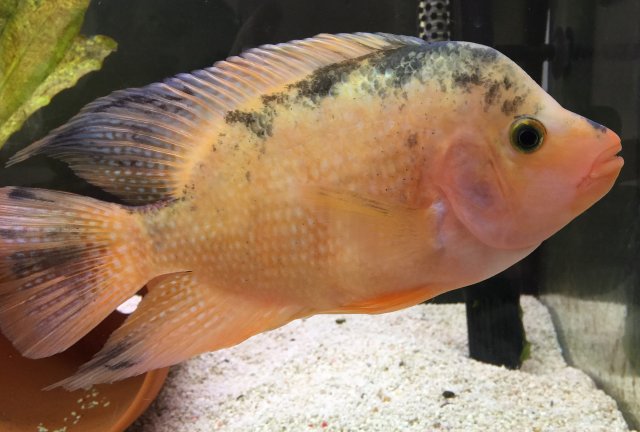 IMG_7613.JPG IMG_7613.JPG