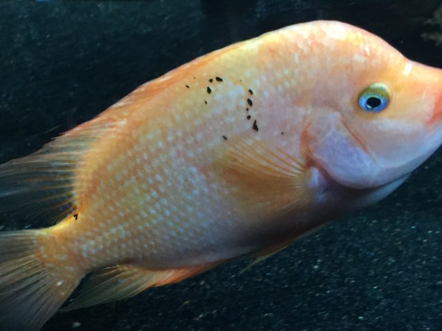 image.jpeg image.jpeg