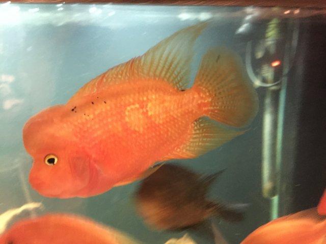 image.jpeg image.jpeg