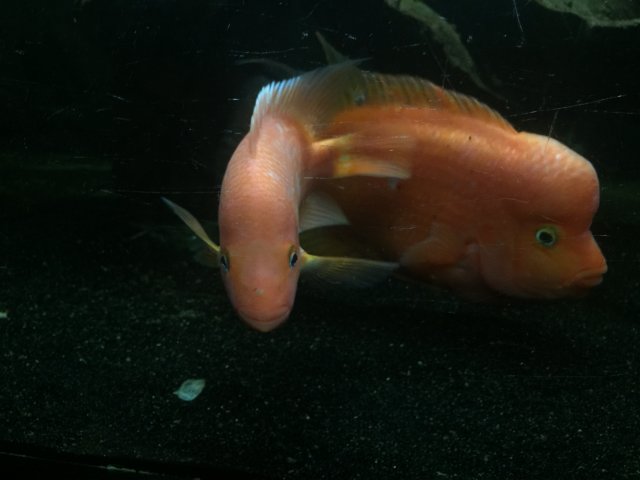 image.jpeg image.jpeg