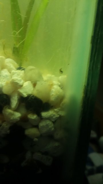 1468509830180954346298.jpg 1468509830180954346298.jpg