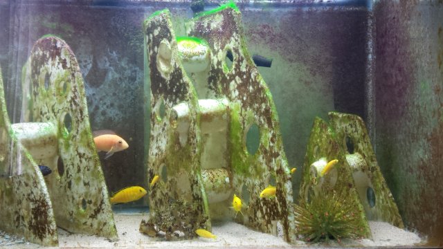20160714_154842.jpg