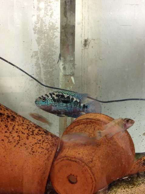 image.jpeg image.jpeg