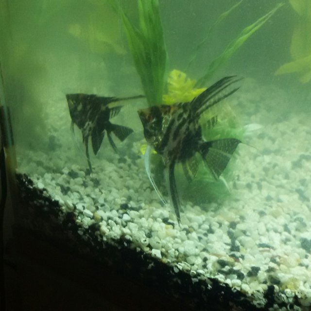 20160614_235637-1.jpg 20160614_235637-1.jpg