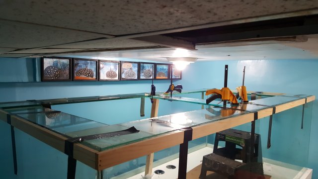 20160714_230330.jpg