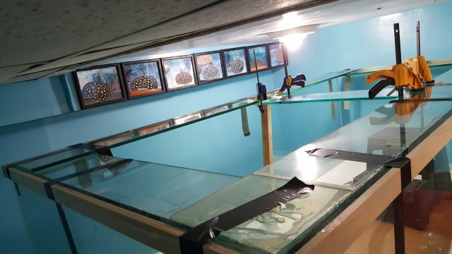 20160714_230335.jpg