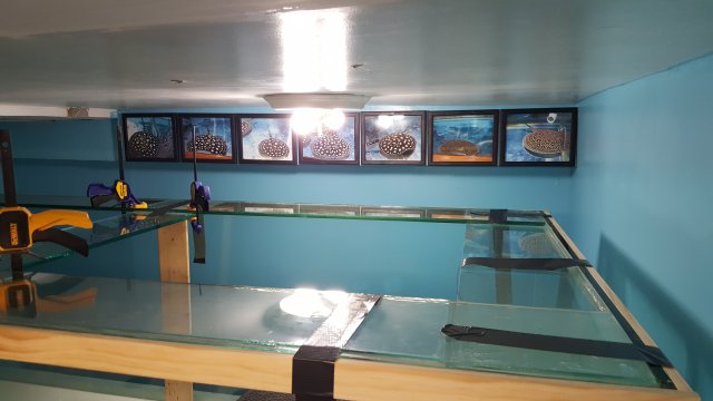 20160714_230346.jpg