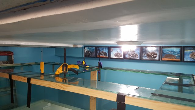 20160714_230355.jpg