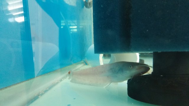 20160715_075447.jpg 20160715_075447.jpg