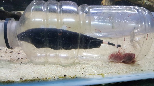 20160715_122657.jpg