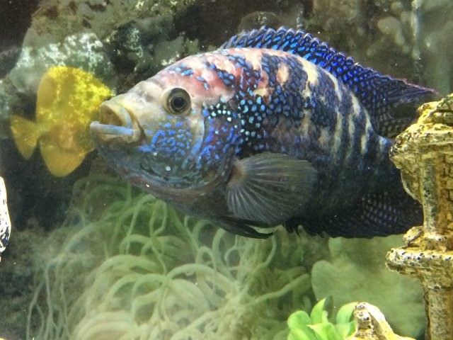 image.jpeg image.jpeg