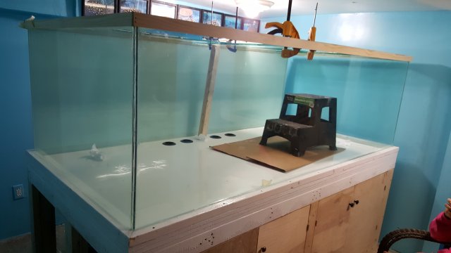 20160715_224135.jpg