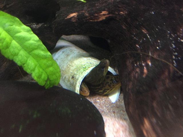 image.jpeg image.jpeg