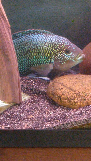 20160526_115851.jpg 20160526_115851.jpg