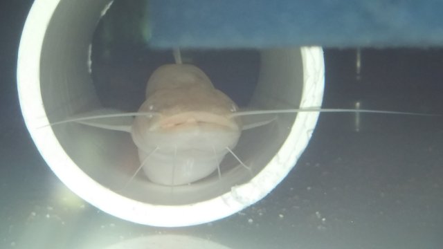 20160717_163240.jpg