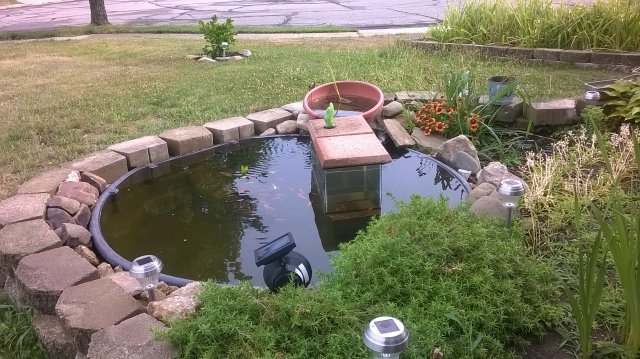 WP_20160718_09_09_35_Pro.jpg