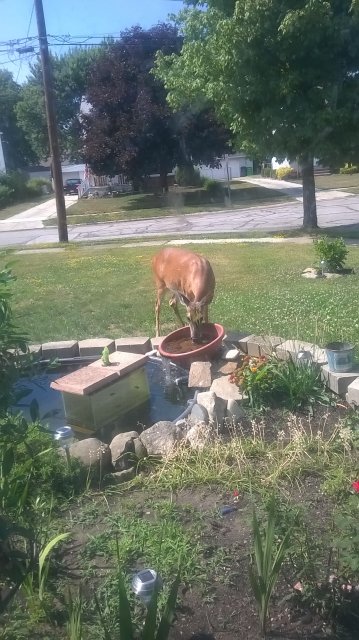 WP_20160707_15_48_47_Pro.jpg