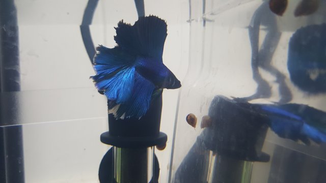 20160718_211039.jpg