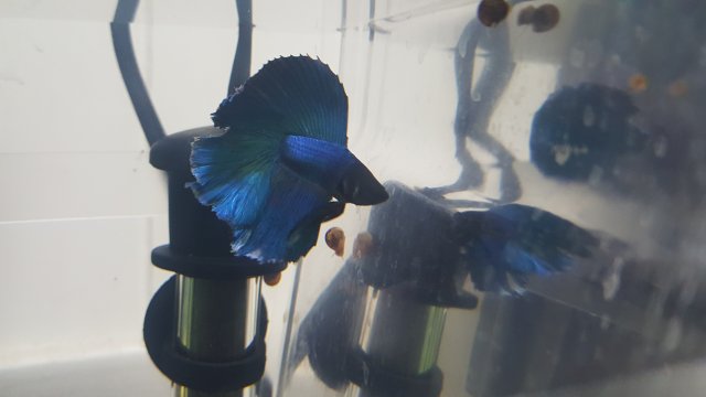 20160718_211113.jpg