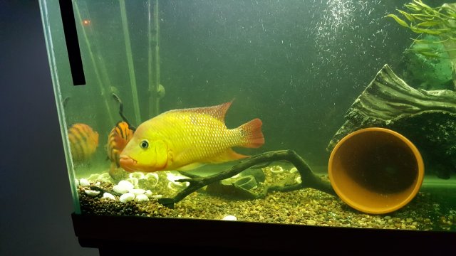 20160719_055642.jpg