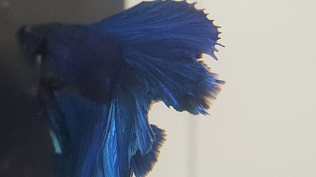 20160719_150009.jpg
