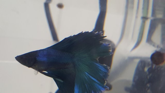 20160719_153527.jpg