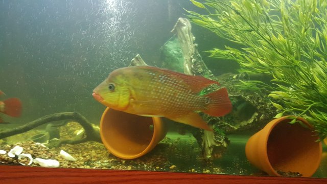 20160720_200038.jpg
