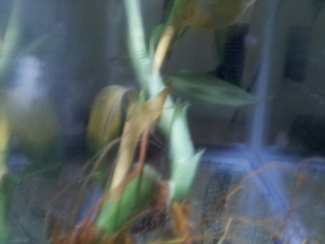 20160720_231805.jpg
