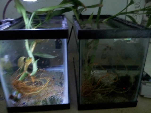 20160720_231828.jpg