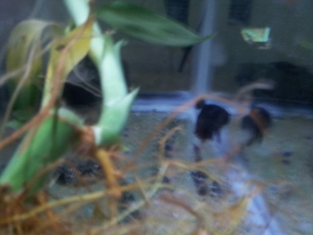 20160720_231854.jpg