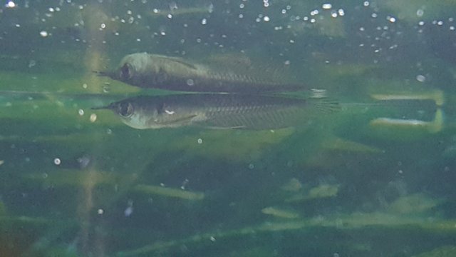20160716_215617.jpg