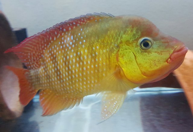 20150824_201750-1.jpg