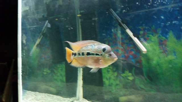 20160722_204841.jpg