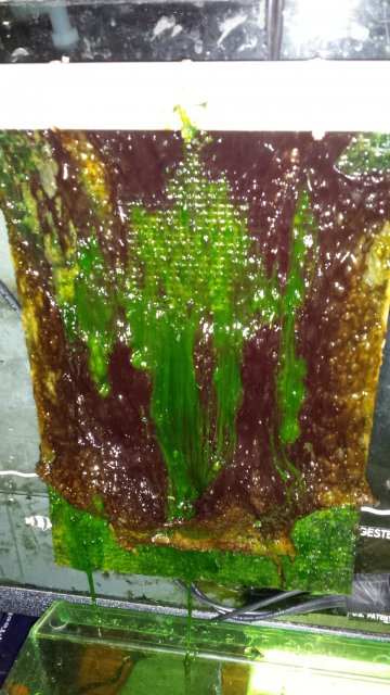 20160722_205735.jpg