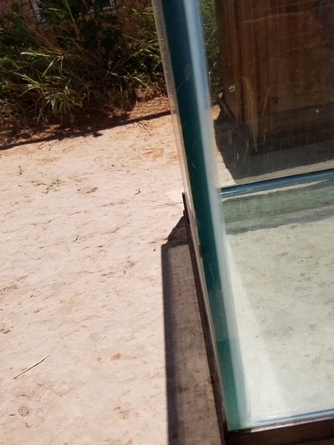 20160724_122205.jpg