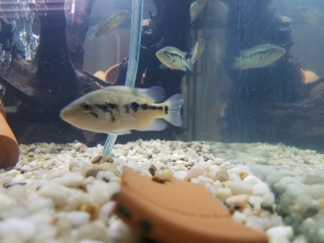 20160724_173436.jpg