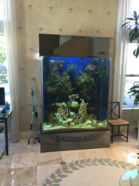 FS, Stunning 400 gallon acrylic show tank