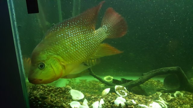 20160724_223722.jpg