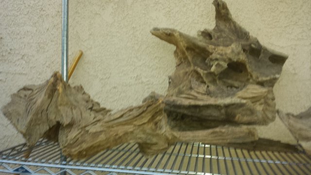 20160724_194742.jpg