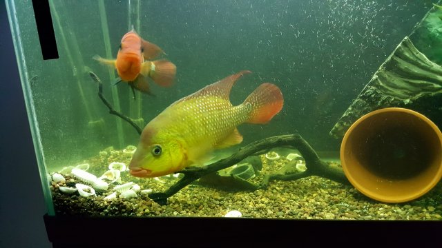 20160719_055031.jpg