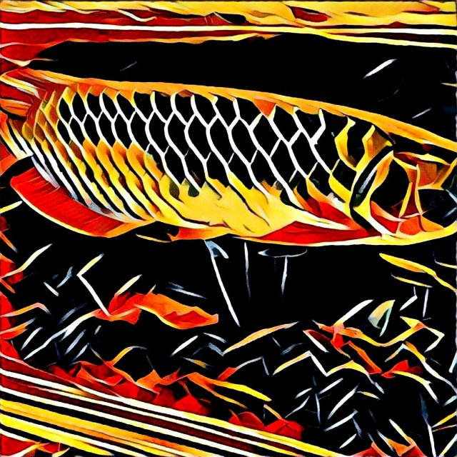 bf508ec2f292f028b2a22d989951a68f1507_k15.jpg