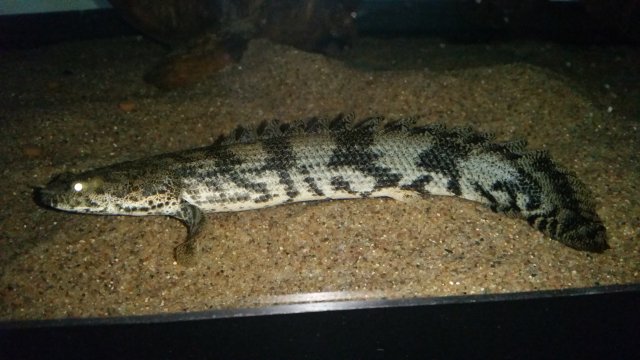 20160730_150023.jpg